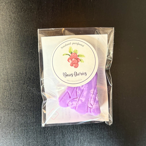 🍬Mini fondants parfumés (Dreamsandstones)